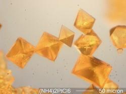 > </div>
<div class=